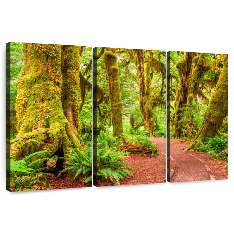 Mossy Hoh Rainforest Trees, H 48 po x l 74 po