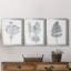 «Indigo Botany Study VI», ensemble de 3 reproductions d'art encadrées-1958800884-1958800883