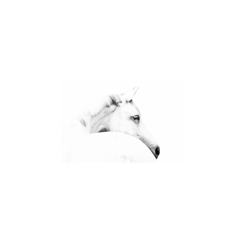 Wrapped Canvas Print, 50.8cm H x 76.2cm W