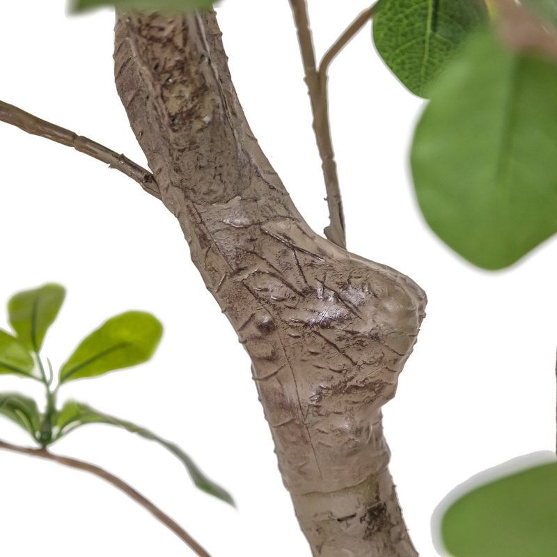 Faux Aralia Tree-Faux Aralia Tree-8'