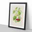 Illustration of Cherries - Framed Print-55641189-55641193
