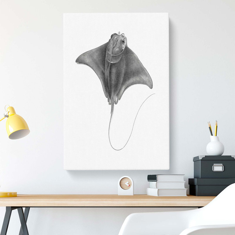 Illustration Of A Ray Fish - Wrapped Canvas Print, 50cm H x 35cm W x 3cm D