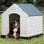 Niche pour chien en plastique-138017174-165014691