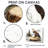 Eagle Silent Vigil In Summer - Eagle Large Wall Art - 3 Panels-1361728253-1361728246-1361728245