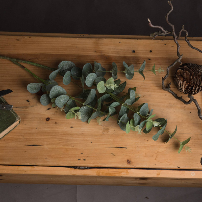 Anastasija Arrangement