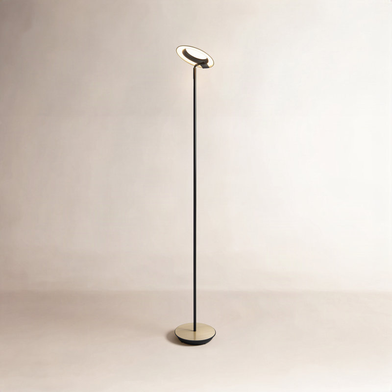 Royyo 45.5'' LED Novelty Floor Lamp, Matte Black/Brushed Brass