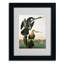 « dart-billed dart » par john james audubon, reproduction d’art encadrée-11826719-19296539
