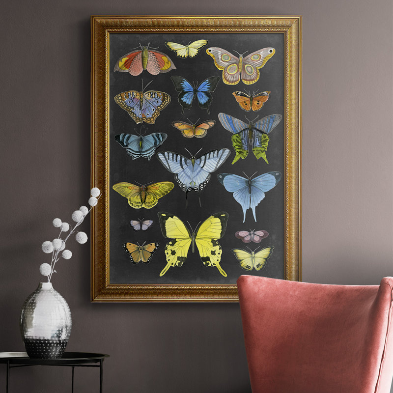 Toile encadrée de qualité graphique avec papillons taxonomiques II - prête à être accrochée, H 20 po x l 16 po x P 2,5 po