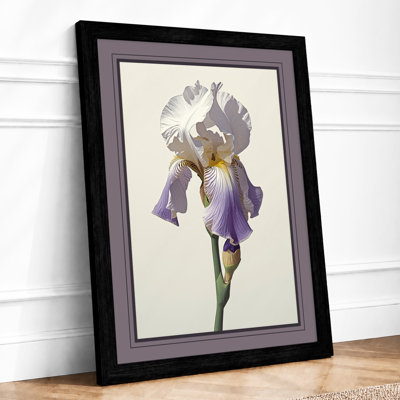 Iris in Bloom Botanical - Framed Print