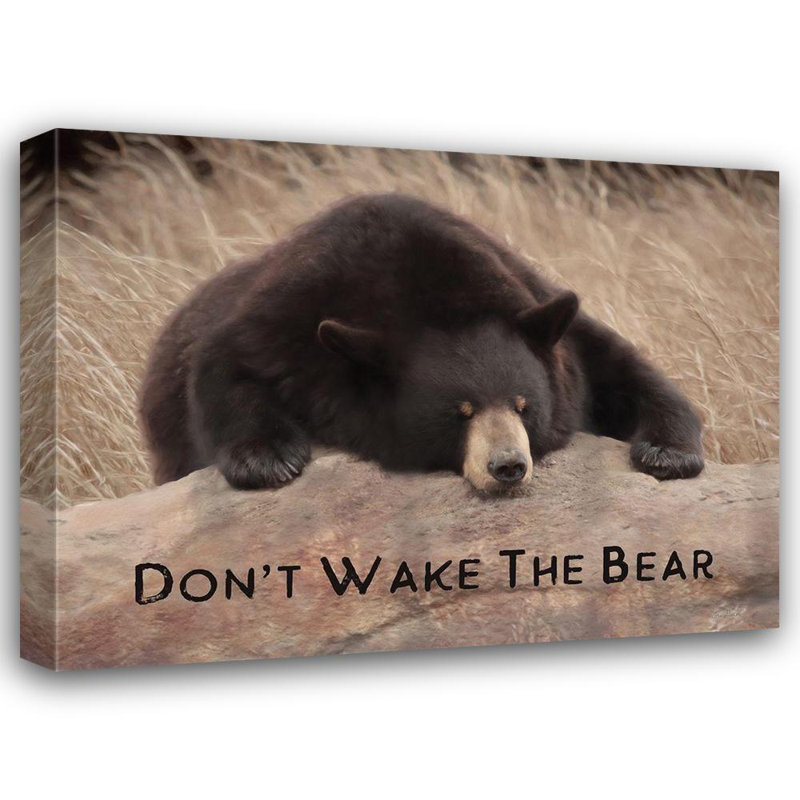 Art sur toile tendue par Millwood Pines Deiter, Lori Gallery: Dont Wake the Bear, H 19 po x l 24 po