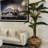 Oversized Teak Bowl With Alocacia Plant