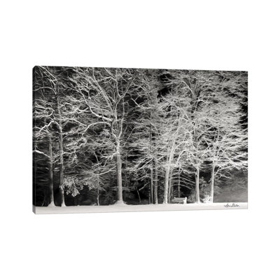 Snowy Trees by Lori Deiter - Wrapped Canvas Print