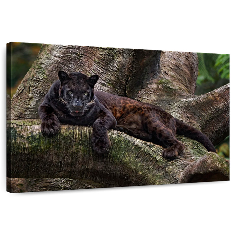 Brampt Mysterious Black Panther, 32" H x 48" W
