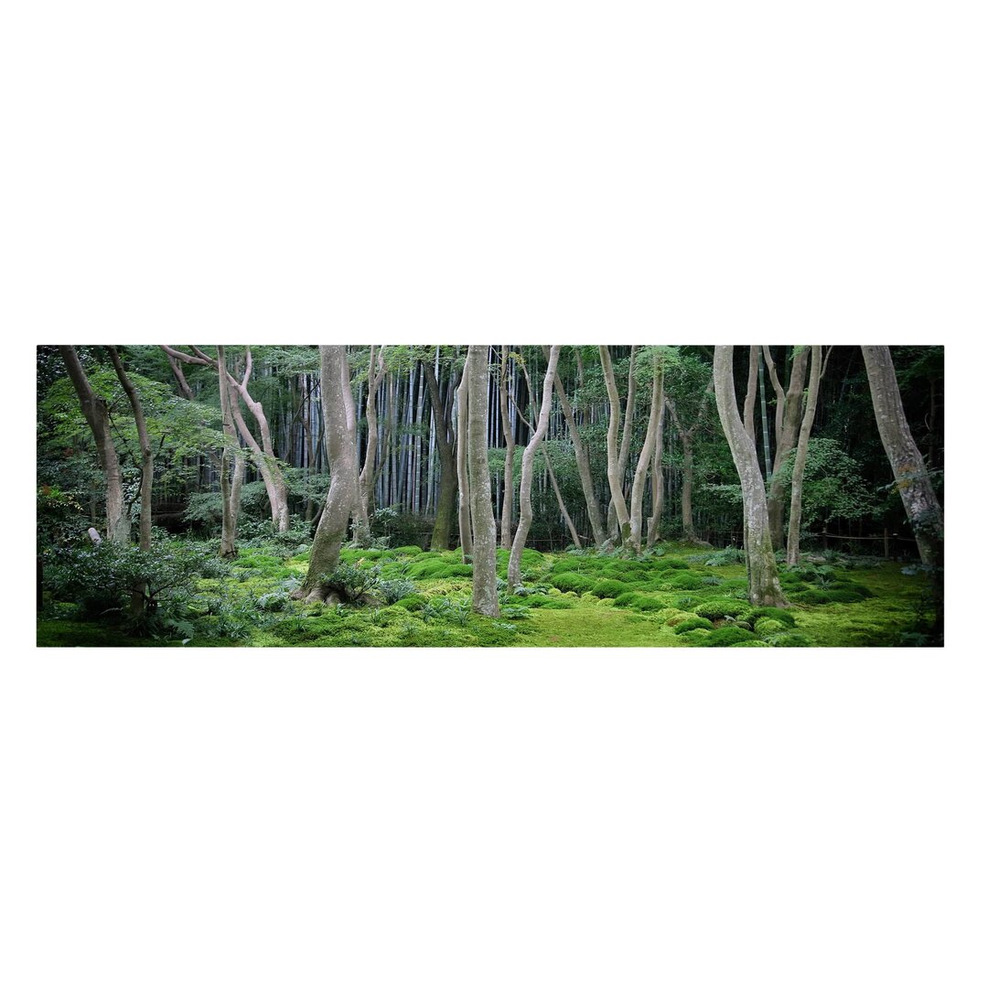 Leinwandbild Japanischer Wald