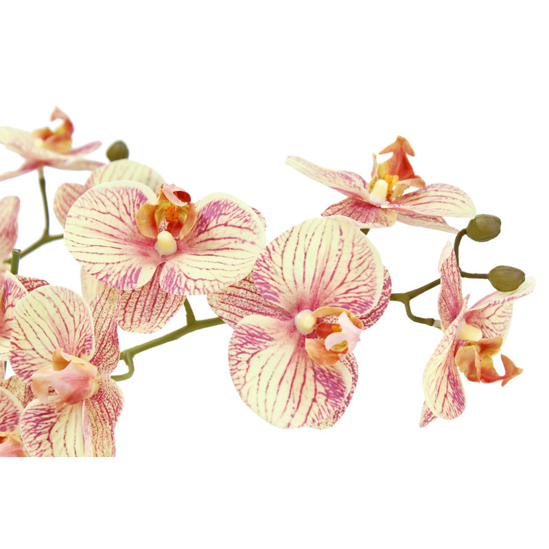 FLORAL ORCHID PHALE 4 STEM POT WHITE 23IN, Orange