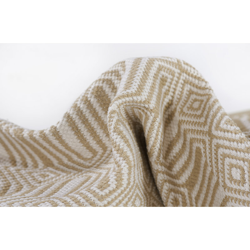 Beige Geometric Flat Woven Synthetic 2' x 3' Rug