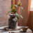 Artichoke Arrangement-1438042116