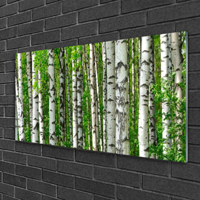 Nature Forest - No Frame Print on Glass