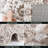 Oriental Indoor Rug