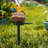 Bird Statue Garden Stake Solar Lighting