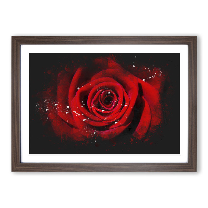 Red Rose Flower Vol.5 - Picture Frame Painting, 27cm H x 36cm W x 2cm D, Walnut Framed