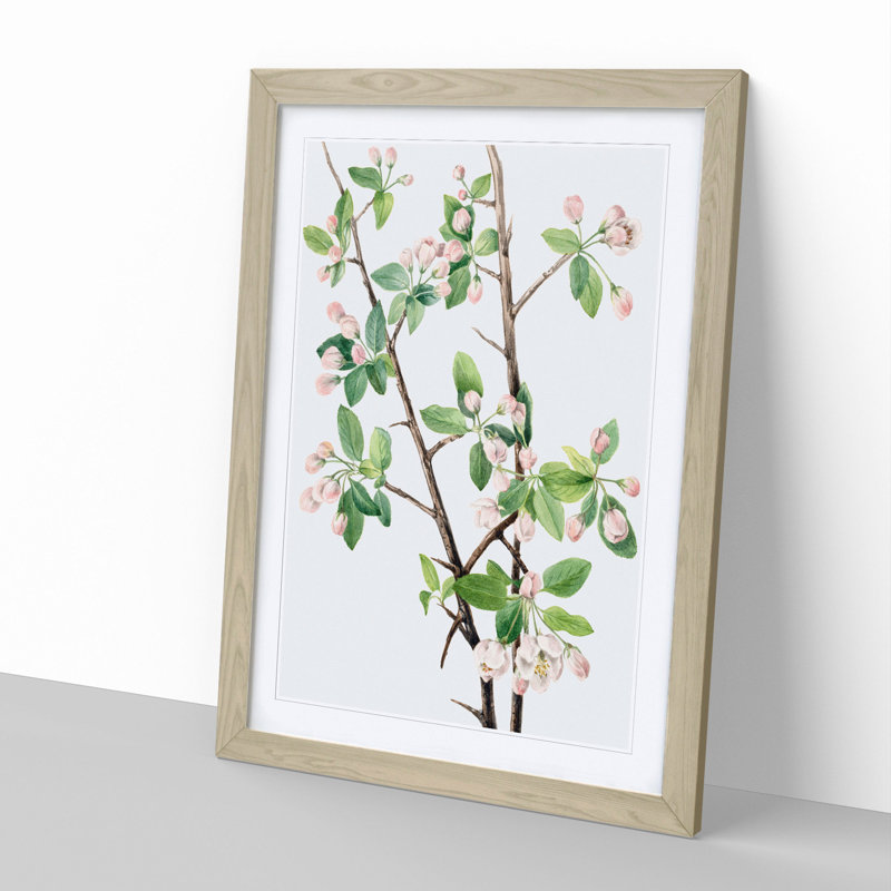 Wild Sweet Crab by Mary Vaux Walcott - Picture Frame Graphic Art, 48cm H x 36cm W x 2cm D, Oak Framed