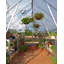 Greenhouse-96230558-96230557