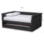 Samitha Upholstered Daybed with Trundle-74229370-74229368