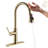 GAWEZA Pull Down Kitchen Faucet-93495161