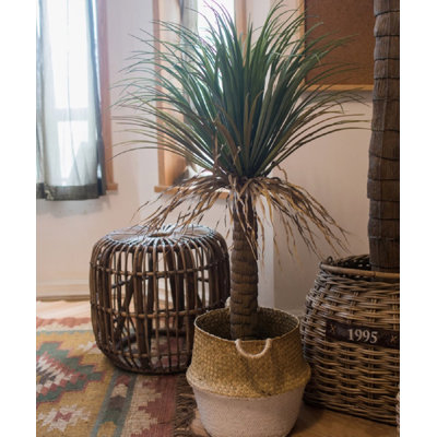 Faux Palm Tree in Resin Pot
