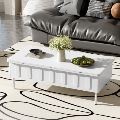 Lift Top Coffee Table With Storage by Latitude Run