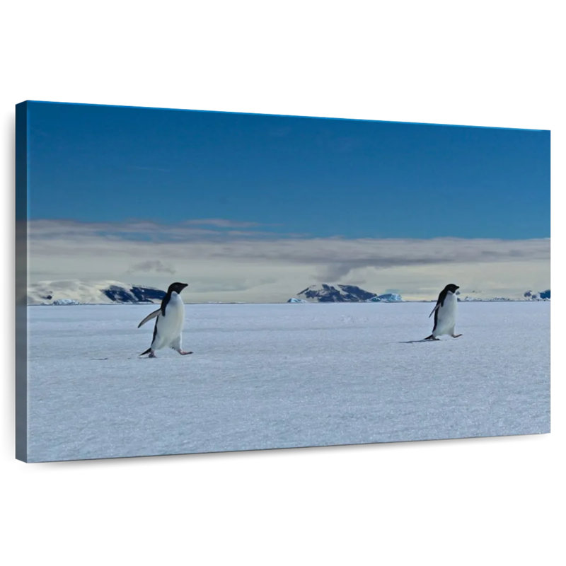 Crowle Pingouins, H 24 po x l 36 po