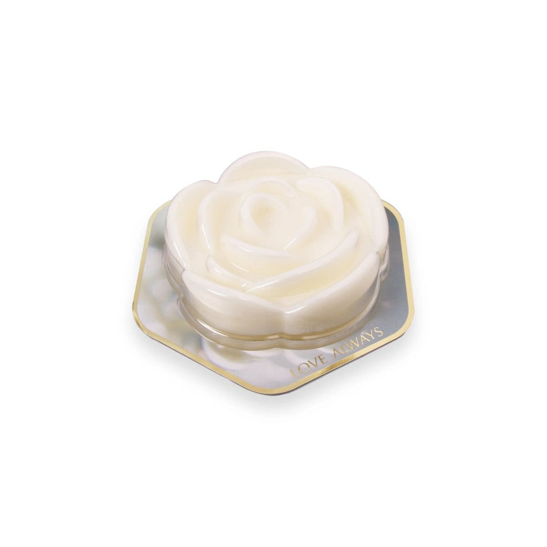 Spring / Summer 2025 Plant / Floral Scented Wax Melt