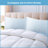 Summer Cooling Sleep Pillow Set Of 2-103283060