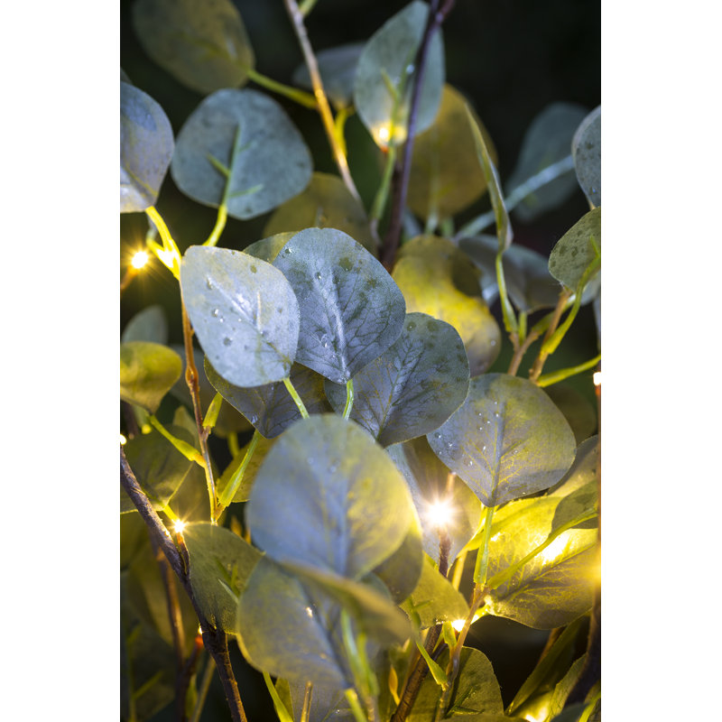 Lighted Eucalyptus Branch with 32 LED Lights