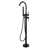 Oil Rubbed Bronze
