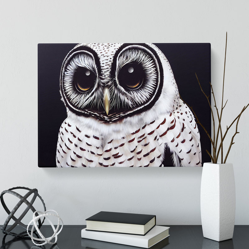 Superb Owl - Wrapped Canvas, 35cm H x 50cm W x 3cm D