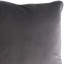 Velvet Throw Square Pillow Cover & Insert-1655732862