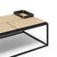 Allionna Frame Coffee Table