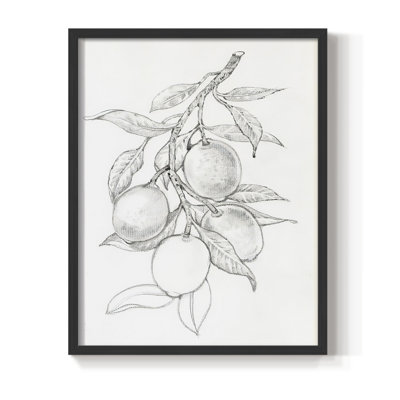 FruitBearing Branch I Framed Print - Solid Wood