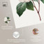 Toile de camélia blanc par Art Remedy-113420526-113420528-113420532