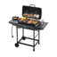 FableFusion AF-629208399676 Propane Grill