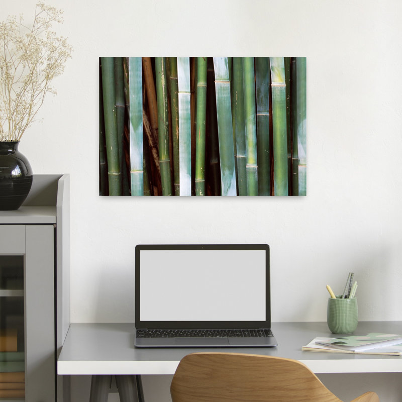 Gros plan sur des bambous, art contemporain de paysage de forêt de bambou, H 16 po x l 24 po