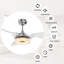 Geradette 56'' Ceiling Fan with LED Lights
