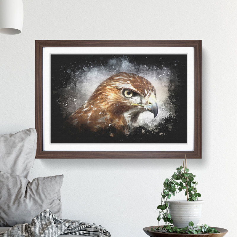 Hawk - Picture Frame Graphic Art Print, 24cm H x 33cm W x 2cm D, Walnut Framed