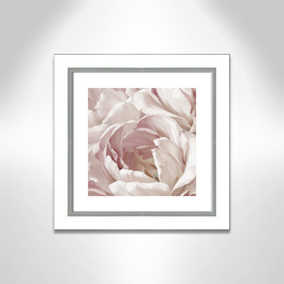 Intime rosé II - photographie