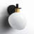 Anderle Steel Armed Sconce