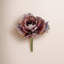 Tige de chou d'automne 10 po-128538649