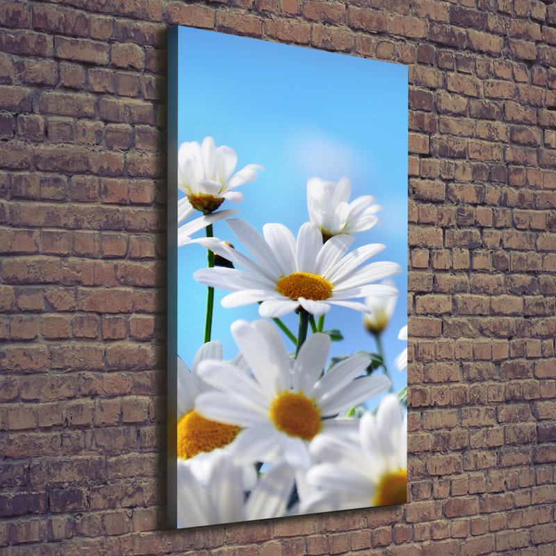 Daisies - Wrapped Canvas Print