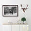 The Majestic Elephant - Picture Frame Photograph Print-56627777-56627778